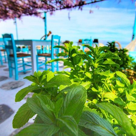 Benitsa Beach Hotel Achílleion Екстериор снимка